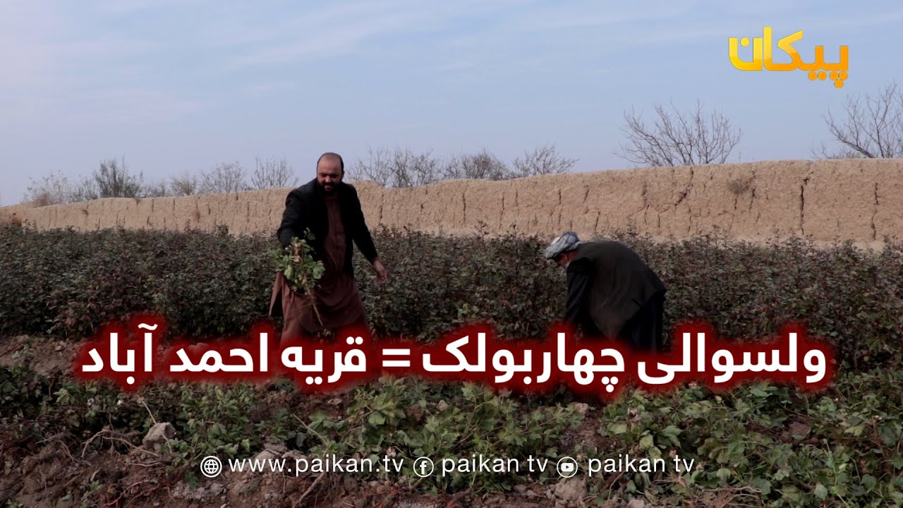 ولسوالی زیبا و سرسبز چهاربولک = قریه احمد آباد