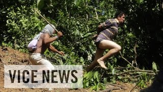 ブラジルの密林に飛び散る火花 先住民と無法者の熾烈な闘い