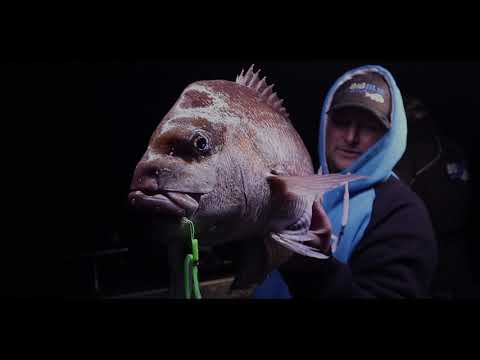 Black Magic Snapper Snack Flasher Rig