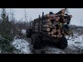 MTZ in forest(21.01.2021)