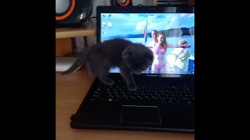 Блокировка клавиатуры))