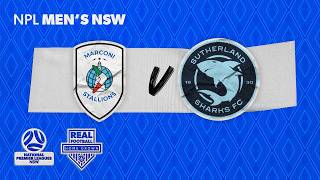 NPL Men's NSW - Marconi Stallions FC v Sutherland Sharks FC