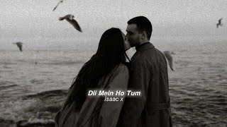 Dil Mein Ho Tum (slowed reverb)