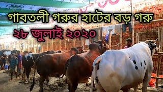 gabtoli gorur haat big cow 2020 | 28 july 2020 | sadeeq agro 2020 | The Taste Ranger