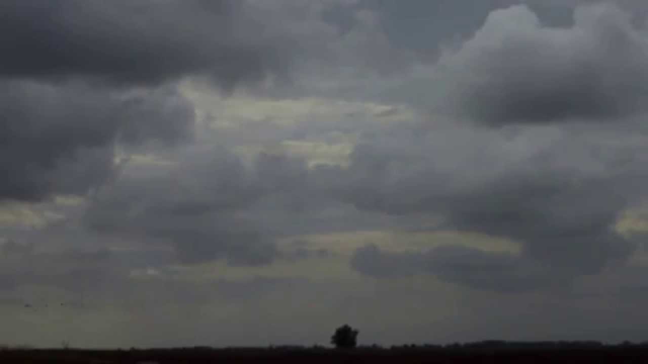 White-fronted geese sounds at Sacramento NWR