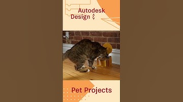 @Autodesk Design & Make Weekend Project: Pet Projects