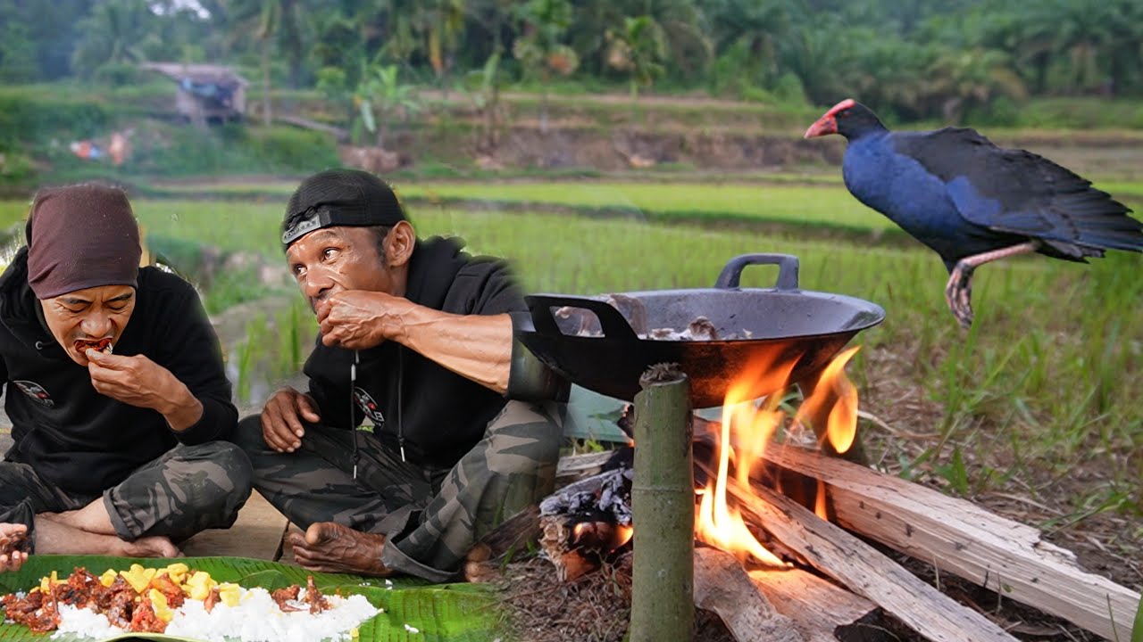 BERBURU ‼️ GURIHNYA BISA MENIKMATI HASIL MASAKAN DI ALAM..