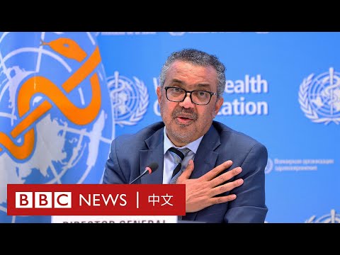 世衛總幹事譚德塞：中國「清零」防疫政策不可持續 － BBC News 中文