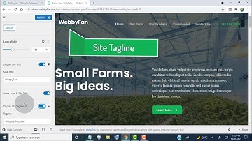 How To Display Site Title and Tagline instead of Logo WordPress Website Astra Theme