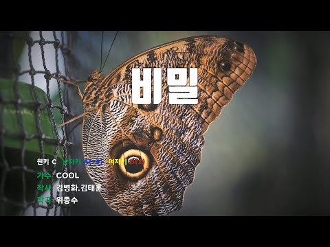 [은성 반주기] 비밀 - COOL