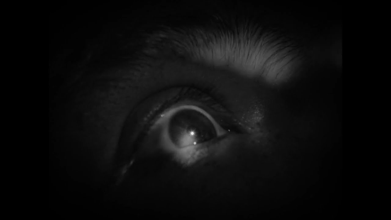 ROACHES Teaser Trailer 2024 (OUT NOW)  Directed By UZEO & Lucas Mujica