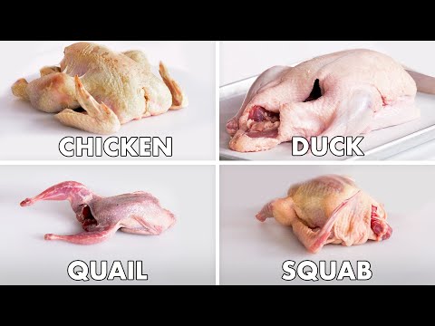 Video: How To Butcher A Bird