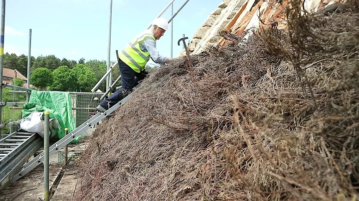 Heather thatching at Joe the Quilter's cottage