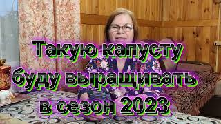 Такую капусту буду выращивать в сезон 2023.