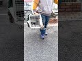信じかけた人間に、捕まった外猫。#外猫しまちゃん#野良猫#猫保護#保護猫の記録#保護猫