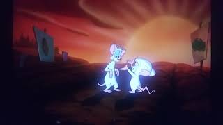 Pinky & The Brain Ending Remix 73
