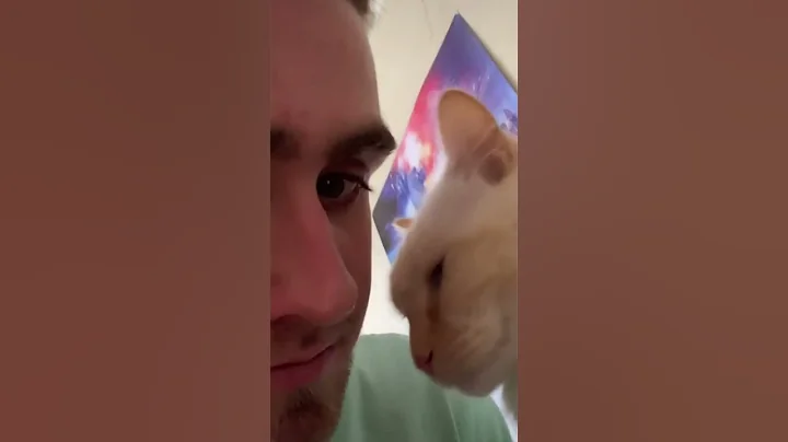 Watch the video about Pure Animal Wholesomeness 🐕❤️ #tiktok #cat #adorably #4k #funny #cute #funnycats #kitten #pets