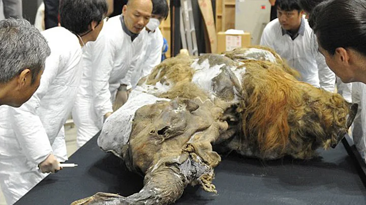 Extinct Animals That Scientists Are Trying To Revive