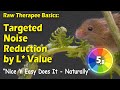 Raw Therapee Basics: Targeted Noise Reduction by L* Value