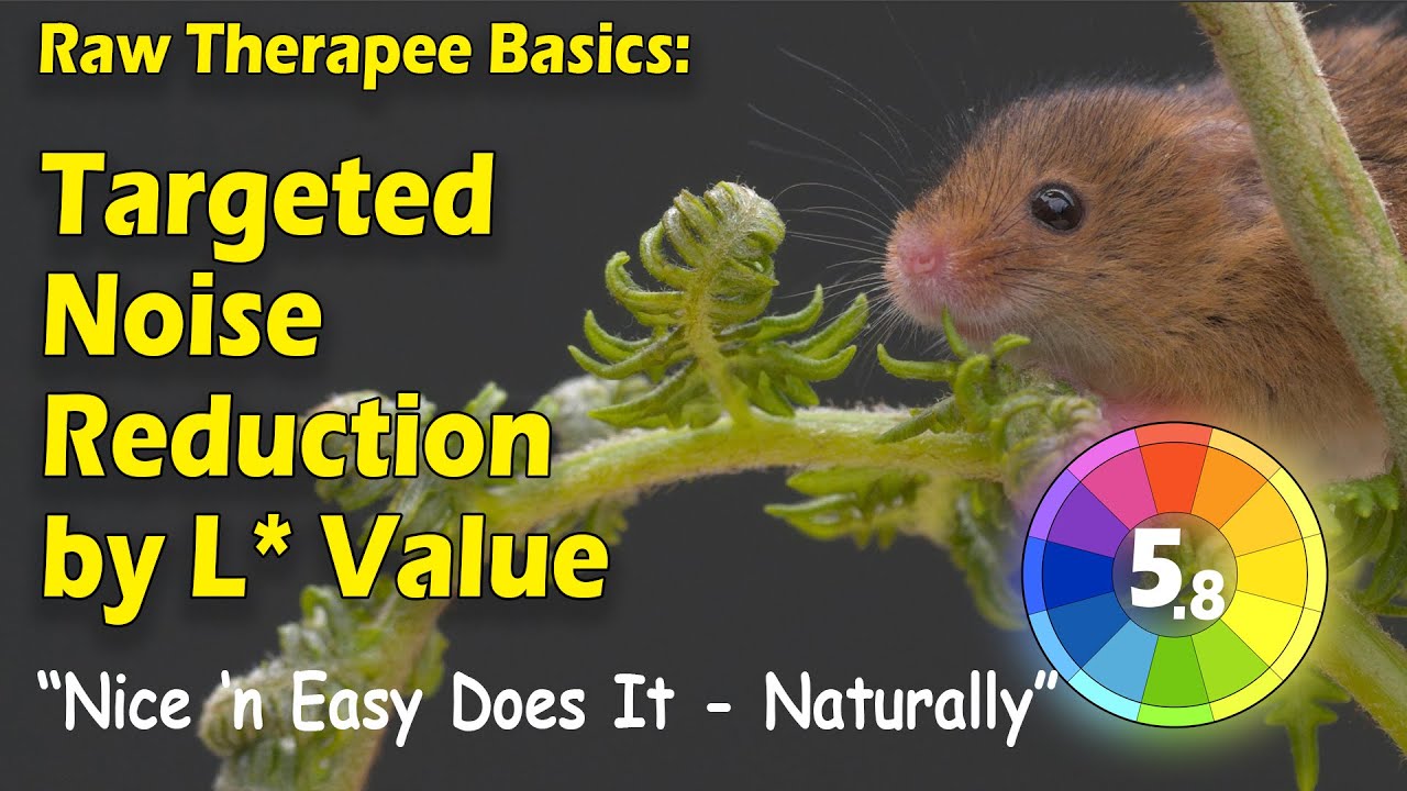 Raw Therapee Basics Targeted Noise Reduction By L Value Youtube