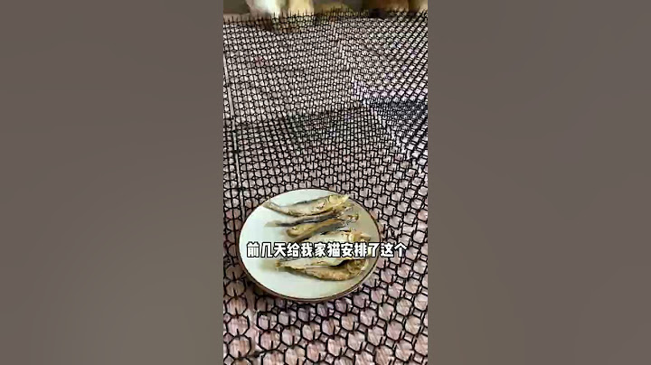 【牛奶是只猫】这防猫神器对小笨猫来说真的太好用了哈哈哈哈哈哈