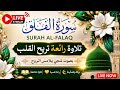 LIVE 🔴 Surah Al-Falaq Recitation | Relaxing Quran Tilawat for Peace &amp; Protection 🌙✨
