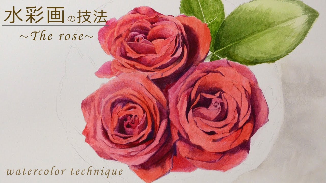 水彩画 リアルな薔薇の描き方 透明水彩 色鉛筆 コピック Youtube