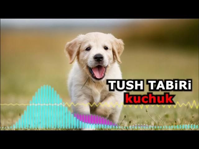 Yoshlar bilan BDSM jinsiy aloqa