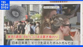 「BA.5」がすでに収束!?日本と似ている…“ポルトガル”から学ぶコロナ対策｜TBS NEWS DIG