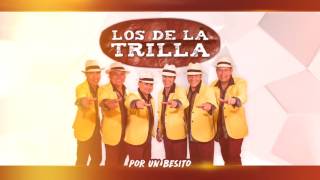 Video thumbnail of "Los De La Trilla -  Por un besito [Audio]"