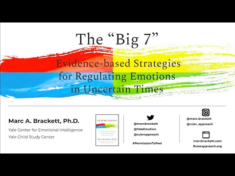 &rsquo;The Big Seven’-Strategies for Healthy Emotion Regulation in Uncertain Times