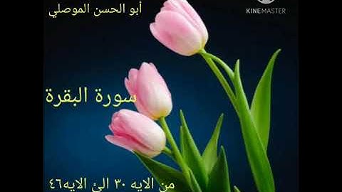 سورة البقرة من الايه ٣٠ الئ الايه٤٦ للقارئ أبو الحسن الموصلي