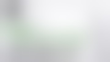 77 Media Group: Under The Influence Animation: The History of the Hashbash