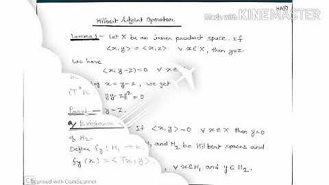Hilbert Adjoint Operator