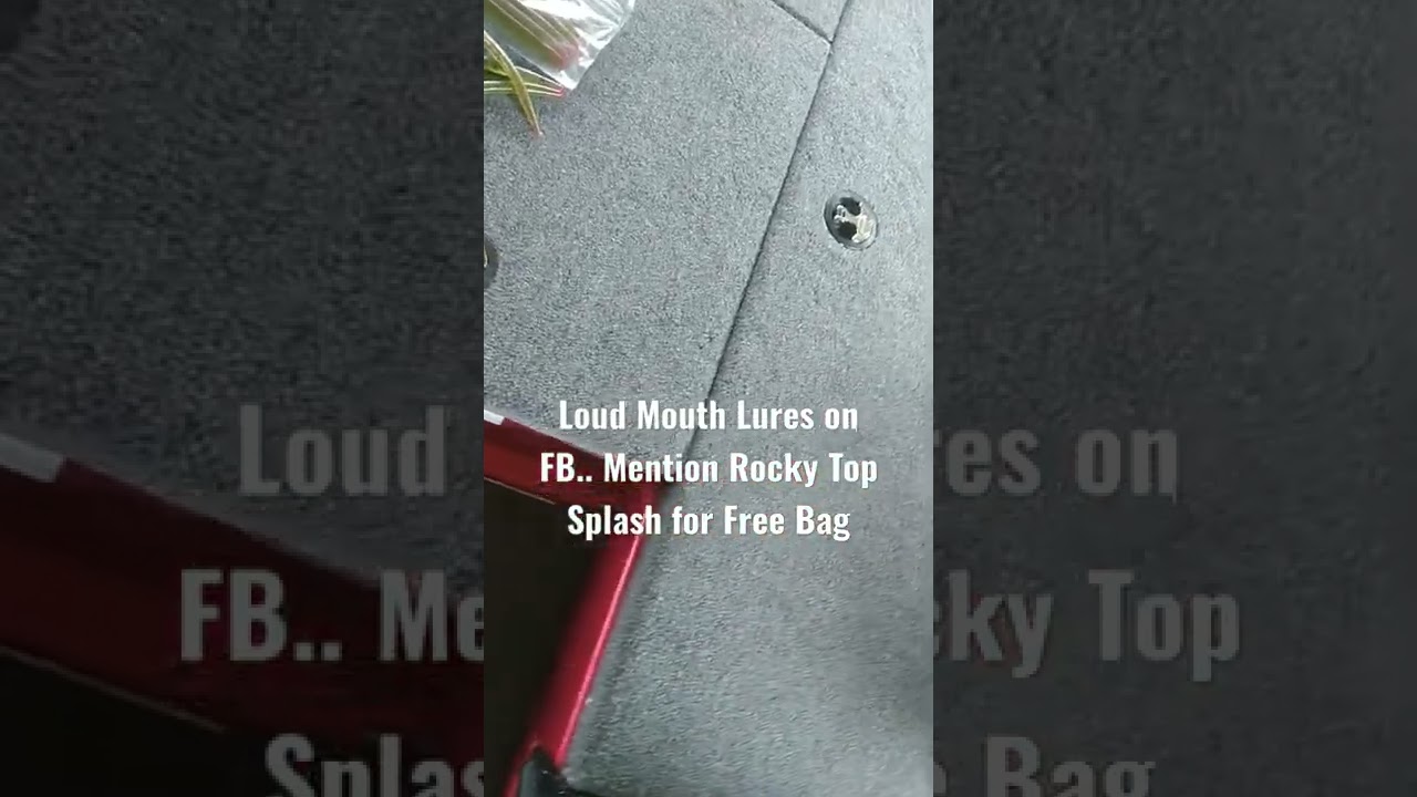 Hot NEW Bass Fishing Lures / Core Shot Senko Worms 