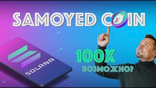 SAMOYED COIN 100X POSSIBLE | Андрей Щербина | 2 JANUARY, 2024