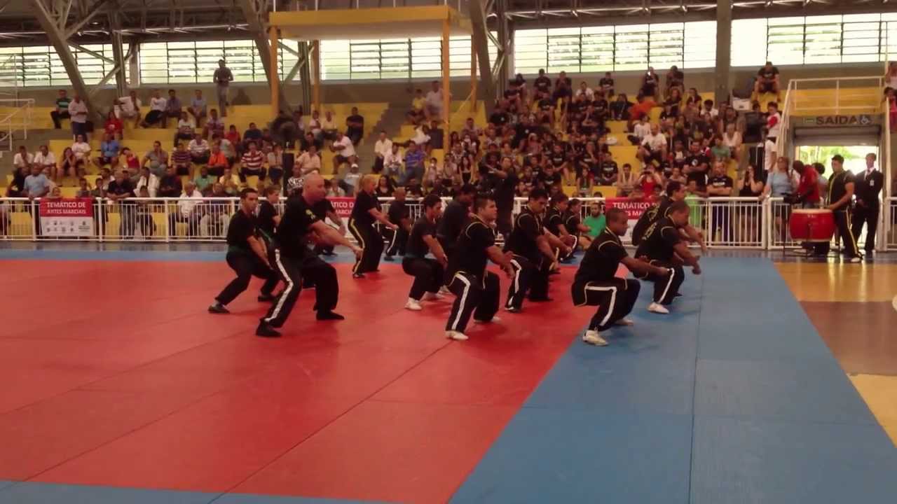 Apresentação de Kung Fu - Garra de Águia e Louva-a-Deus