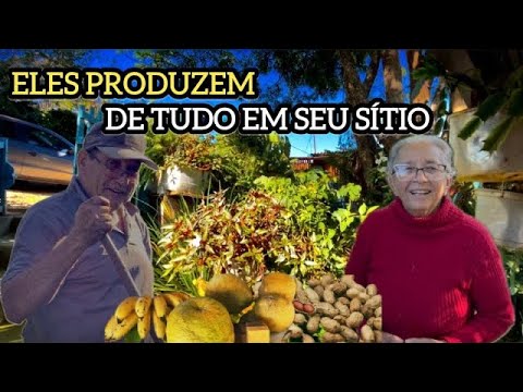 ESTE CASAL POSSUI UM PEQUENO SÍTIO AUTOSSUSTENTÁVEL