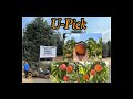 Best Place To U Pick Peaches With Free Rides In Oregon Olson Farm 