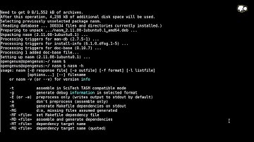 Install NASM (Netwide Assembler) on Ubuntu