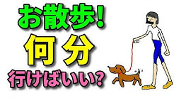 犬のしつけチャンネル Youtube