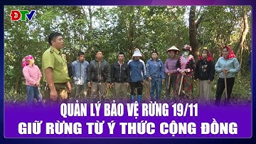 Giữ rừng từ ý thức cộng đồng | Quản lý bảo vệ rừng 19-11-2025 | Điện Biên TV