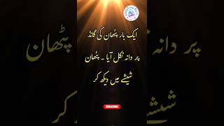 Pathan Jokes In Urdu Suhaag Raat Aaj Ka Naya Latifa