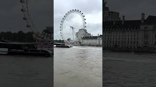 London Eye from Westminster Dock