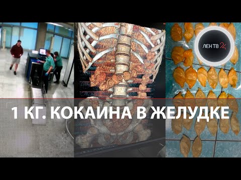 В Пулково задержали наркокурьера с килограммом кокаина в желудке | Видео