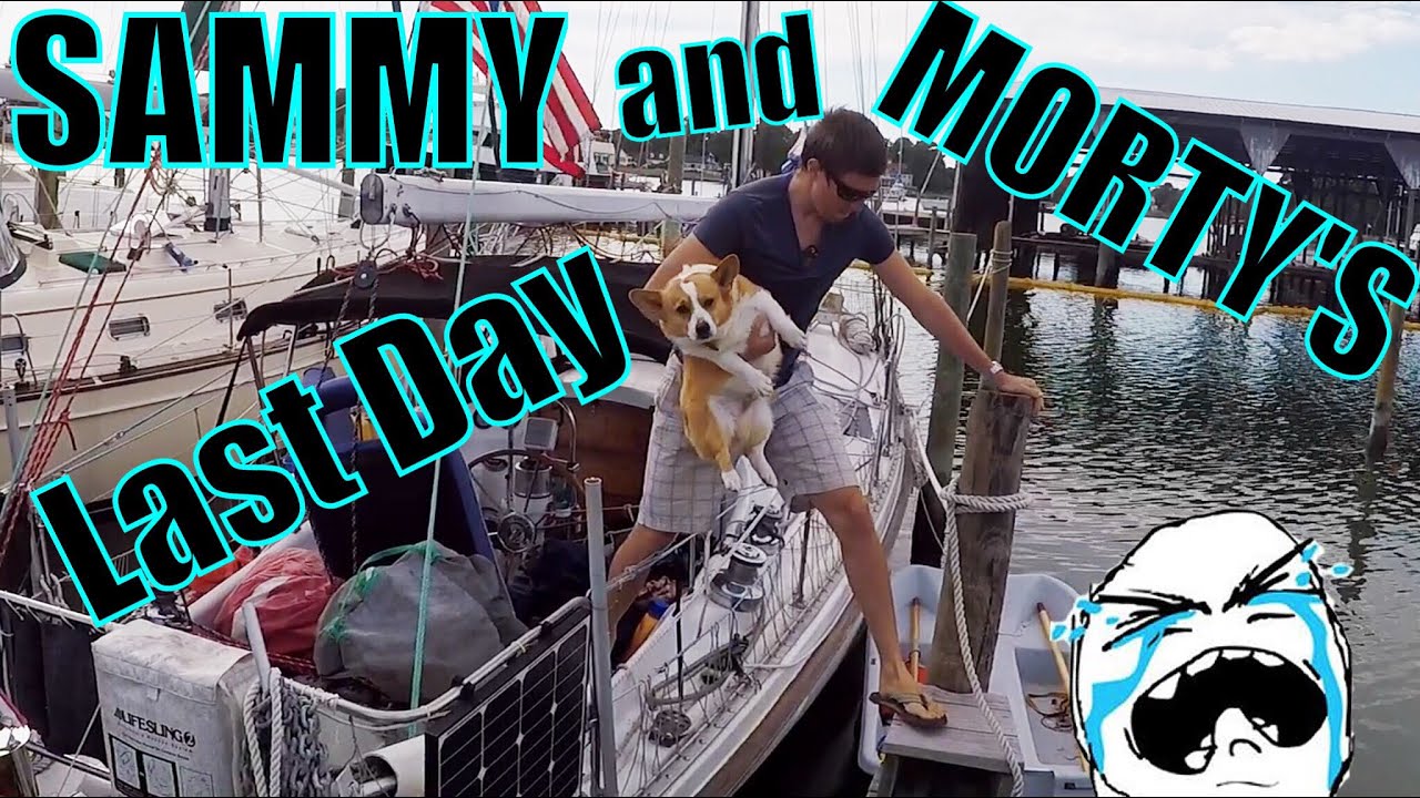 Morty and Sammy’s Final Day on the Trip | Sailing Wisdom Ep 56