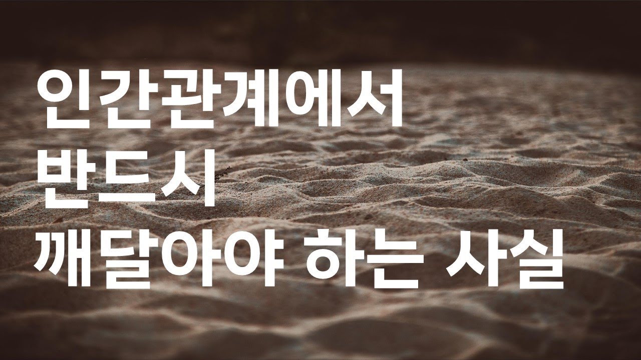 사람에게 수십 번 데이고, 찢기고, 밟히고 난 후에 알게 된 인간관계 이야기