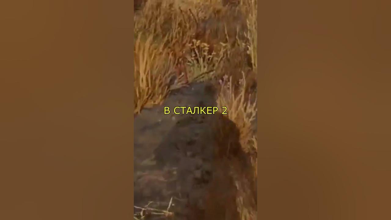 Реальный прототип Скифа из СТАЛКЕР 2 - YouTube