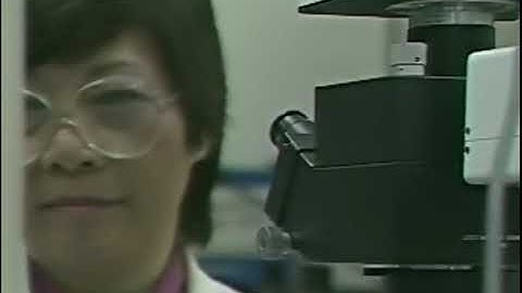 Us Customs Harmonized System