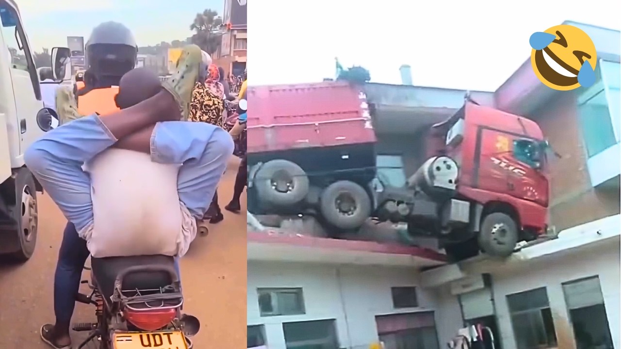 Incroyable ! Ces moments sur la route n’arrivent qu’une seule fois dans une vie !